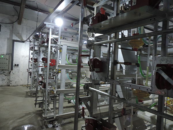 層疊式雛雞設備